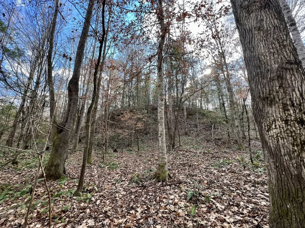 0 Ararat Road Toxey AL 36921