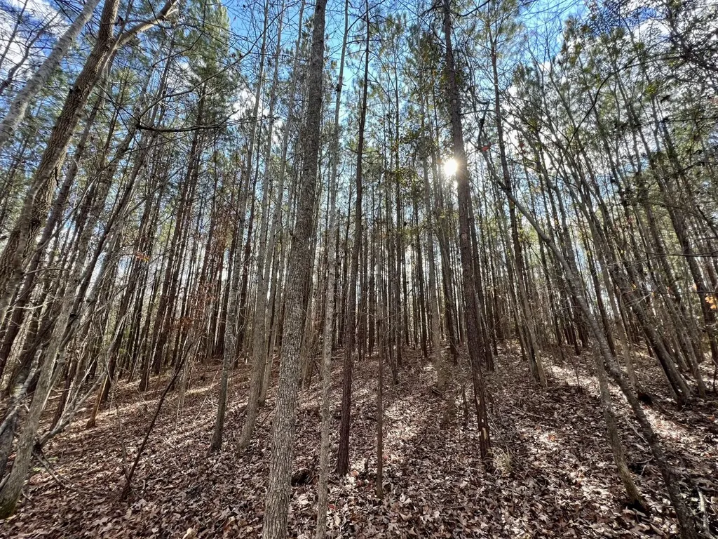 0 Ararat Road Toxey AL 36921