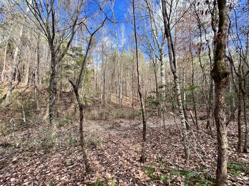 0 Ararat Road Toxey AL 36921