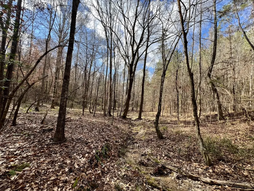 0 Ararat Road Toxey AL 36921