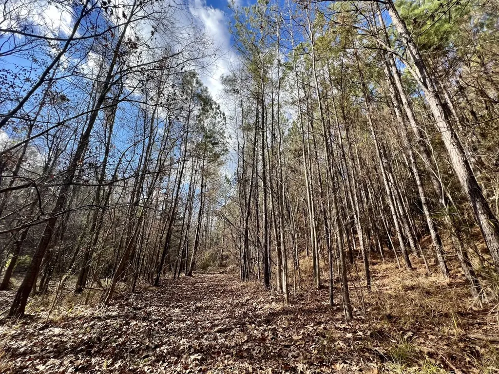 0 Ararat Road Toxey AL 36921