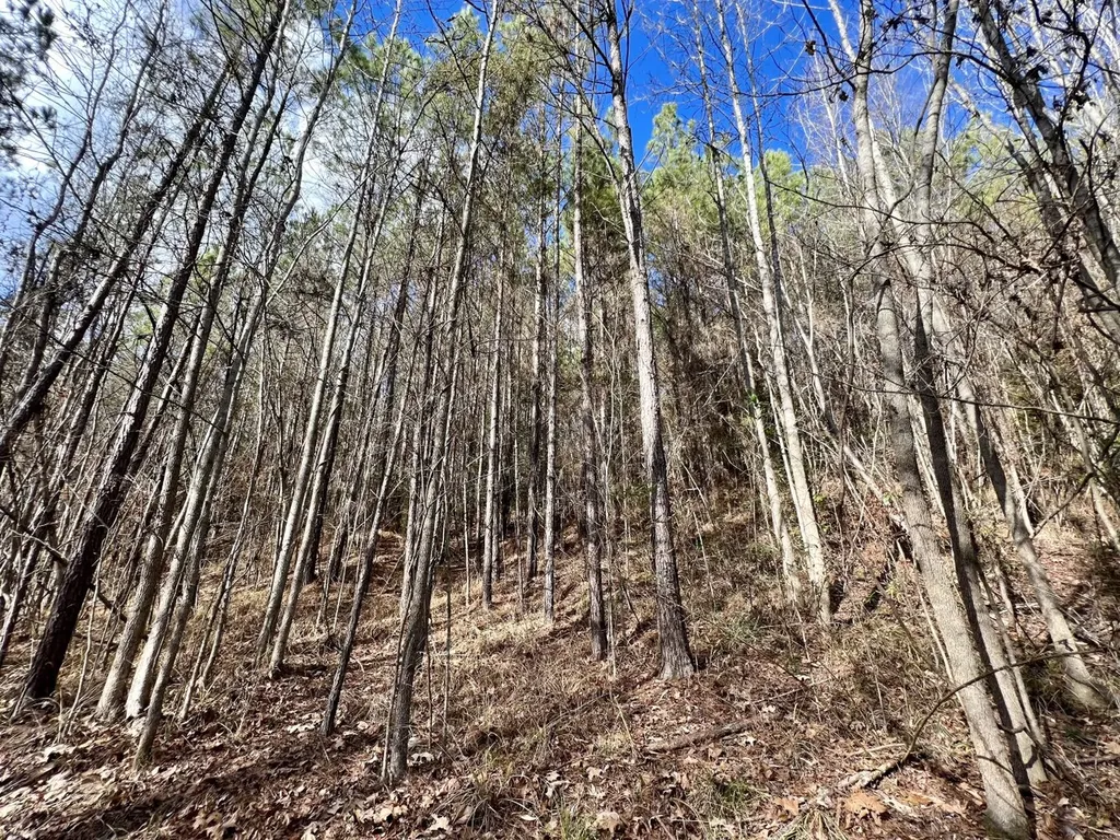 0 Ararat Road Toxey AL 36921