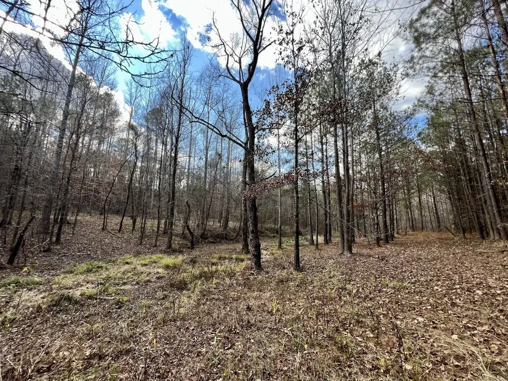 0 Ararat Road Toxey AL 36921