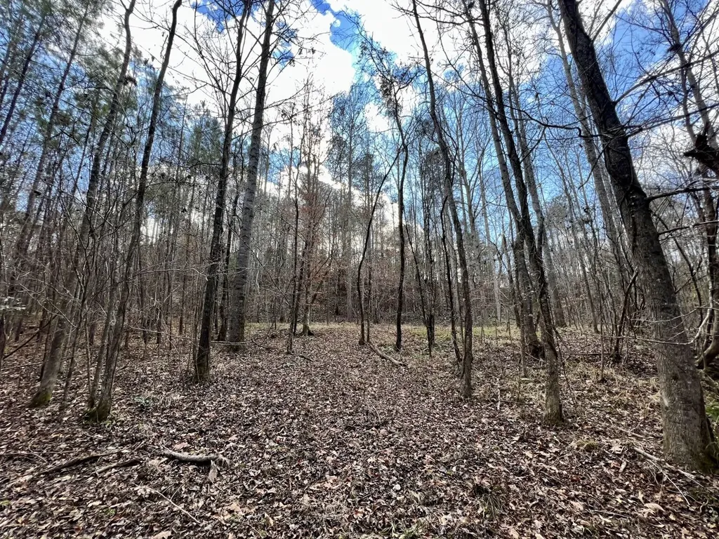 0 Ararat Road Toxey AL 36921