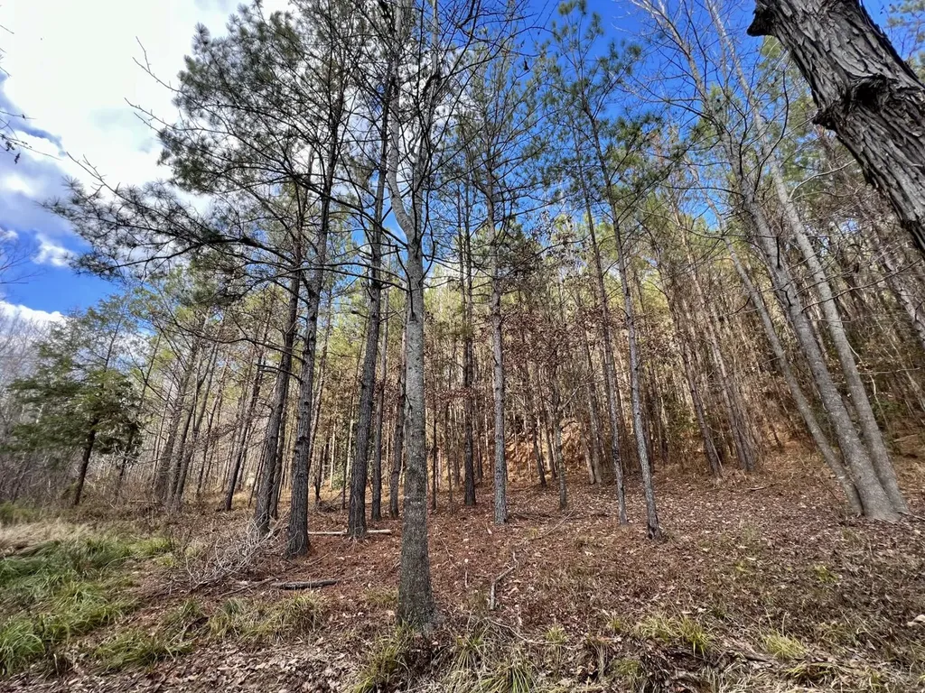 0 Ararat Road Toxey AL 36921