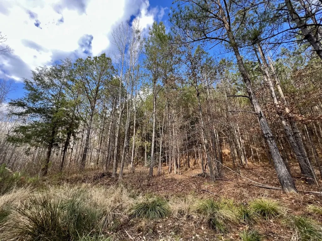 0 Ararat Road Toxey AL 36921