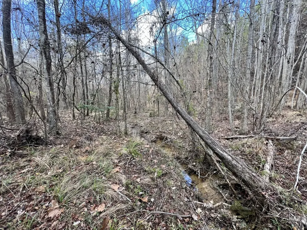 0 Ararat Road Toxey AL 36921