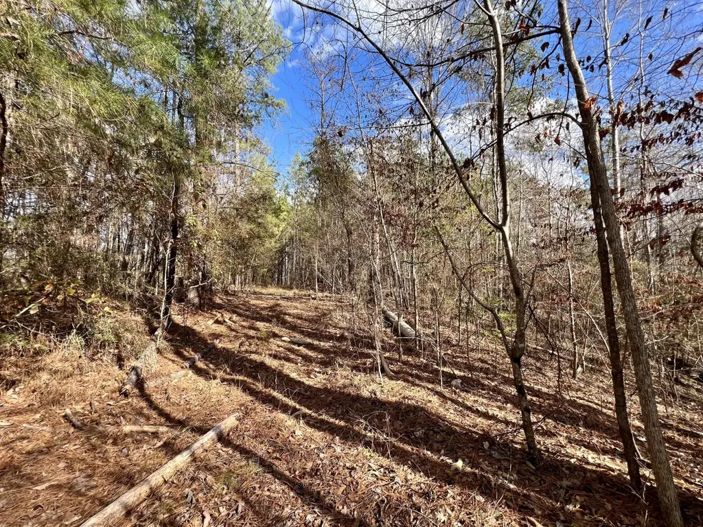 0 Ararat Road Toxey AL 36921