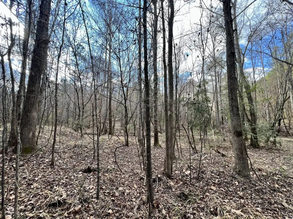 0 Ararat Road Toxey AL 36921