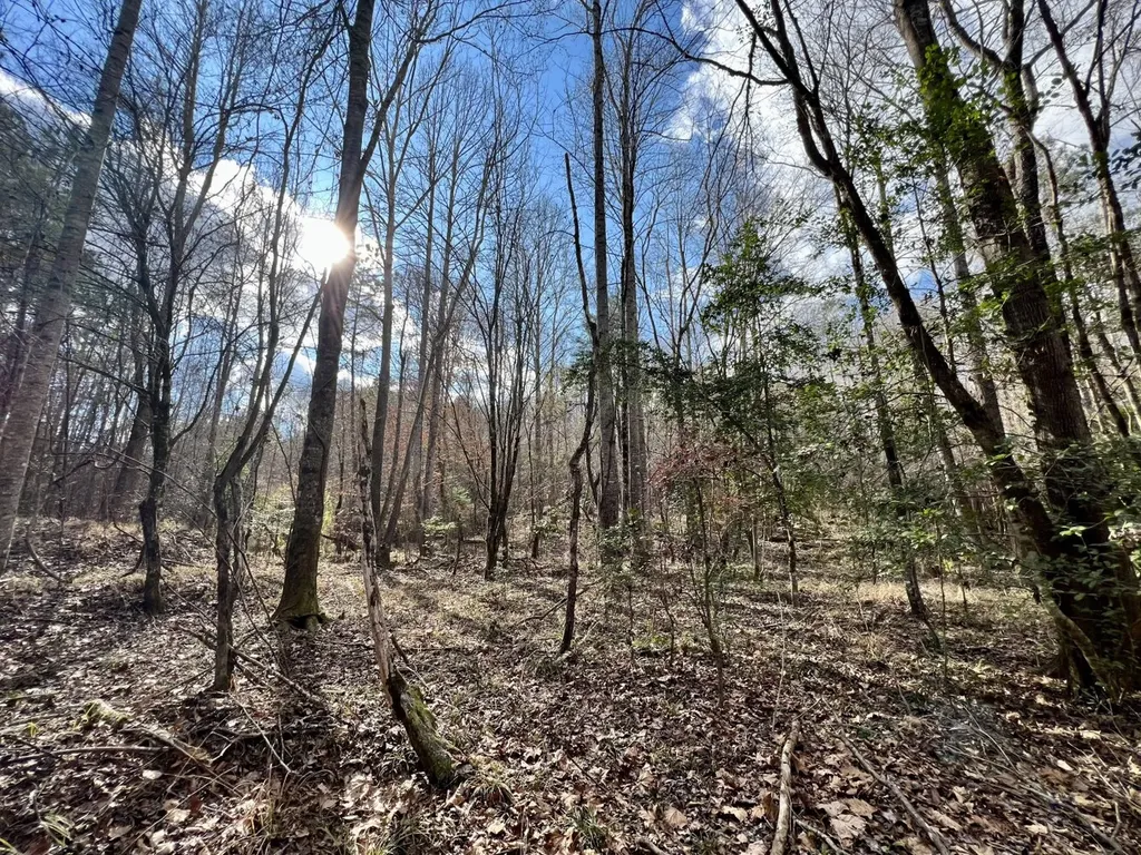 0 Ararat Road Toxey AL 36921