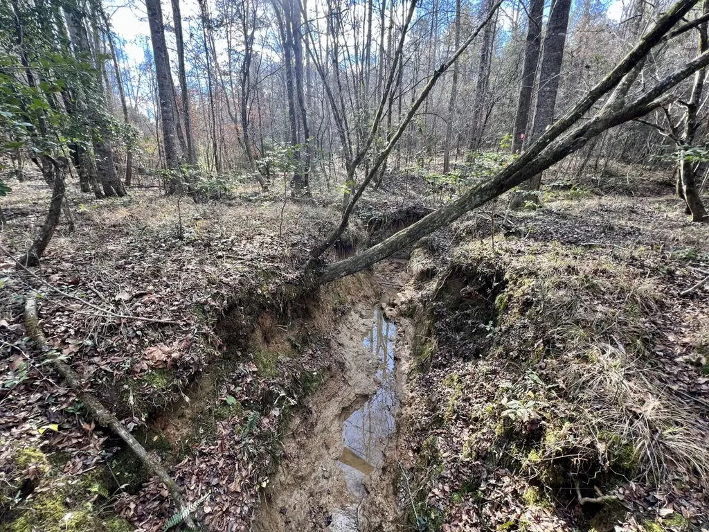 0 Ararat Road Toxey AL 36921