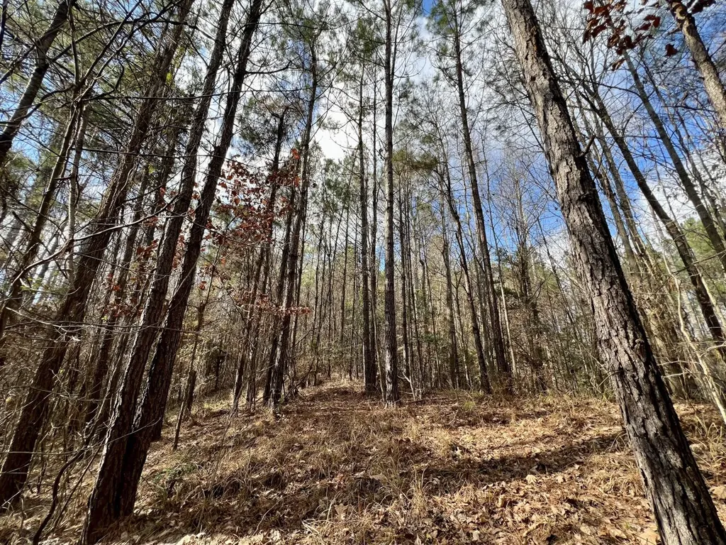 0 Ararat Road Toxey AL 36921