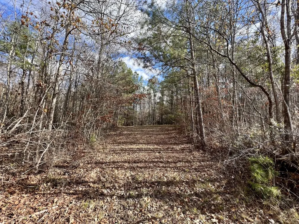 0 Ararat Road Toxey AL 36921