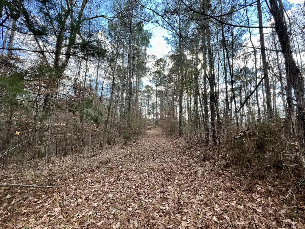 0 Ararat Road Toxey AL 36921