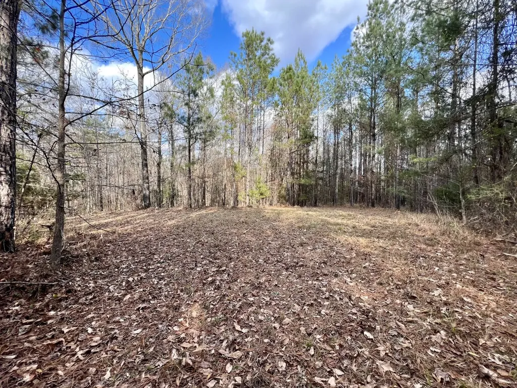 0 Ararat Road Toxey AL 36921