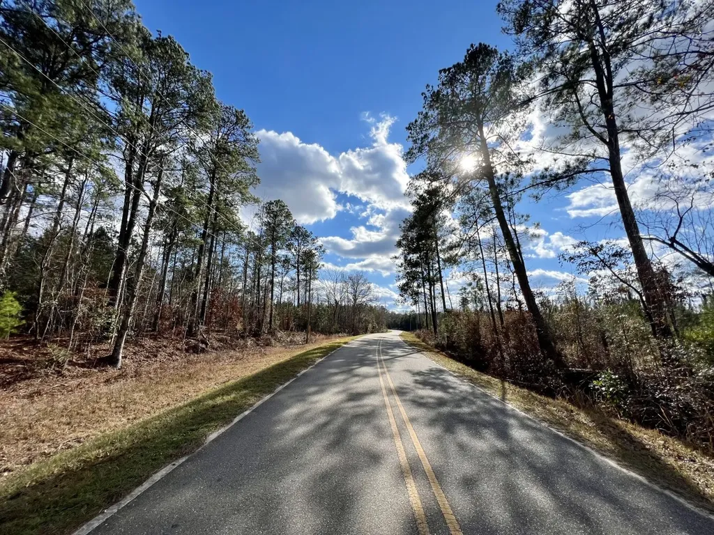 0 Ararat Road Toxey AL 36921