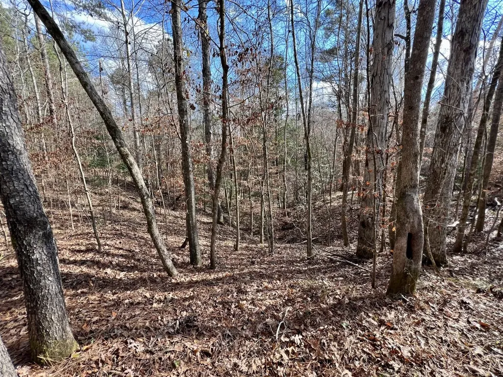 0 Ararat Road Toxey AL 36921