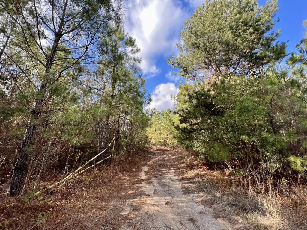 0 Ararat Road Toxey AL 36921