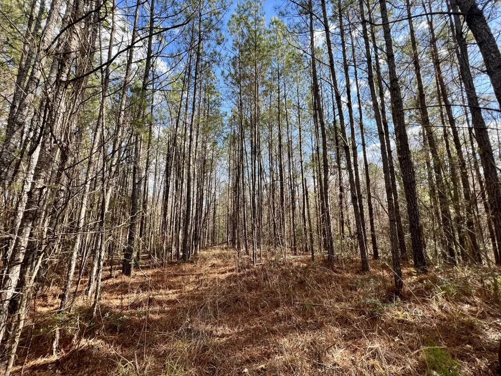 0 Ararat Road Toxey AL 36921