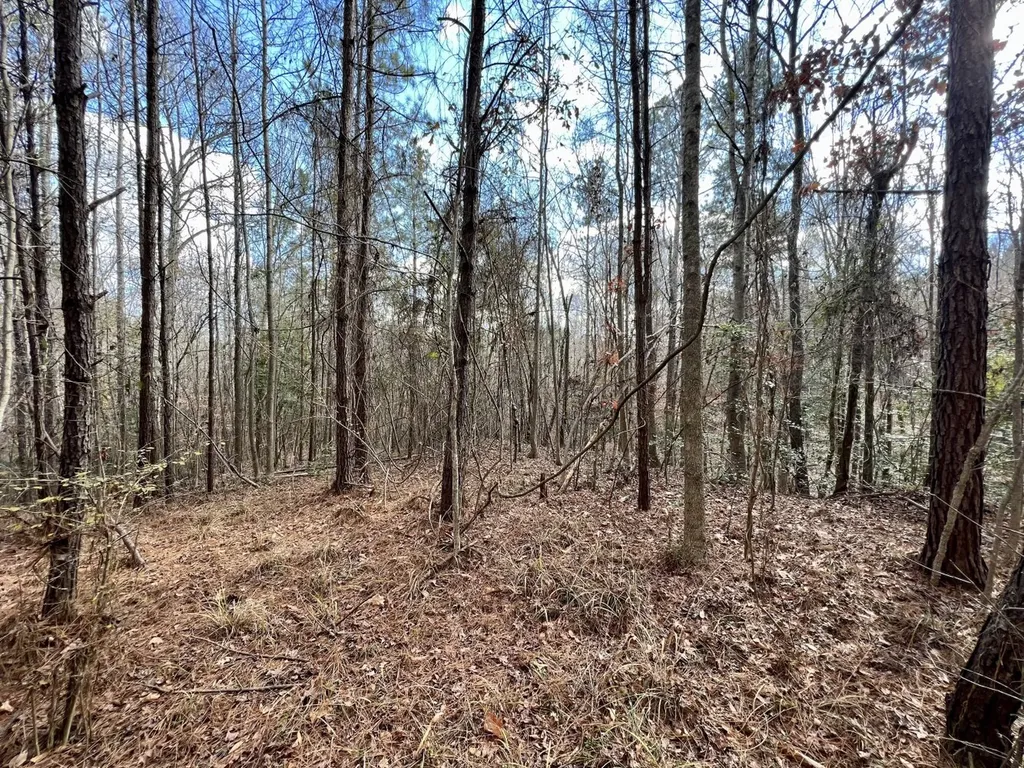 0 Ararat Road Toxey AL 36921