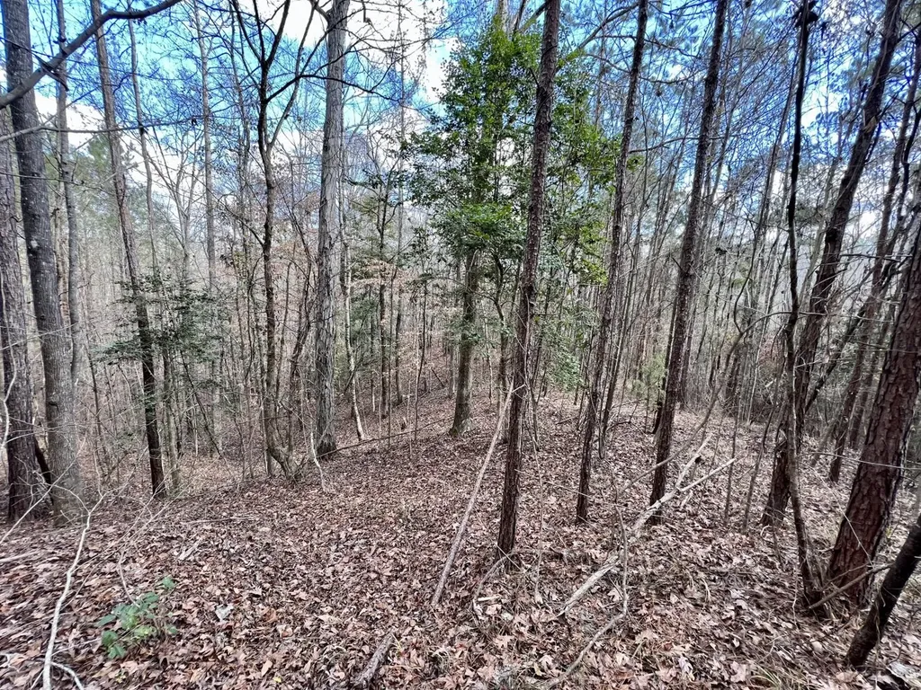 0 Ararat Road Toxey AL 36921