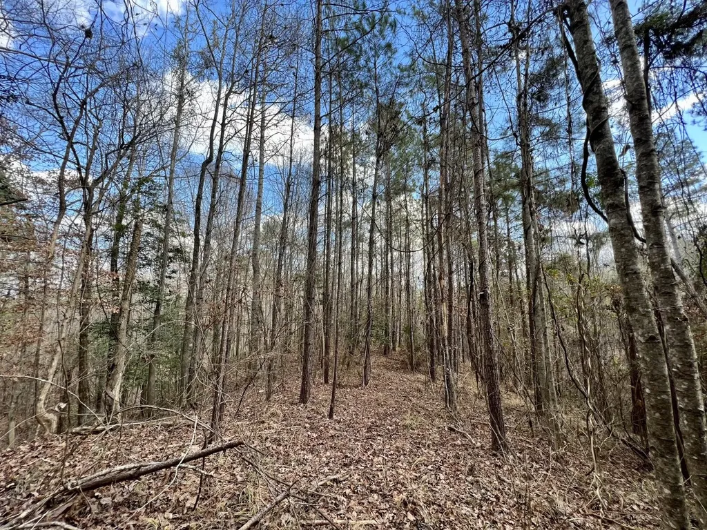 0 Ararat Road Toxey AL 36921