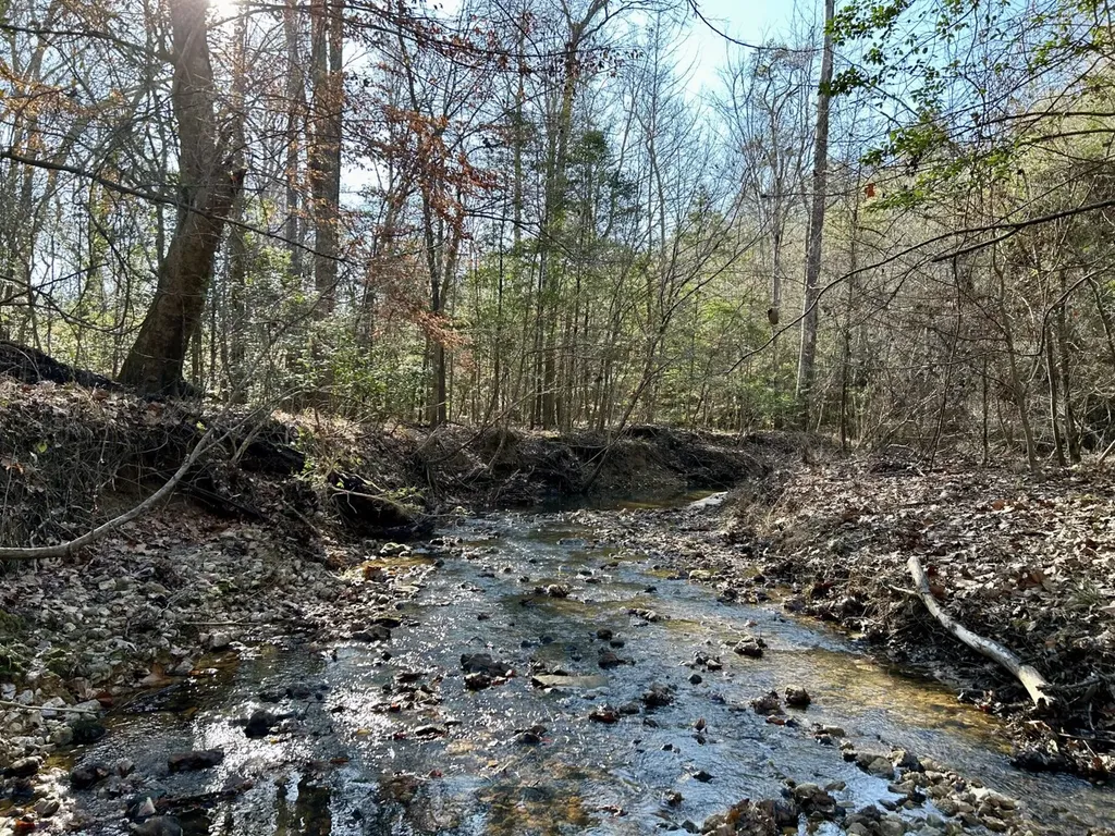 0 Ararat Road Tract B Toxey AL 36921