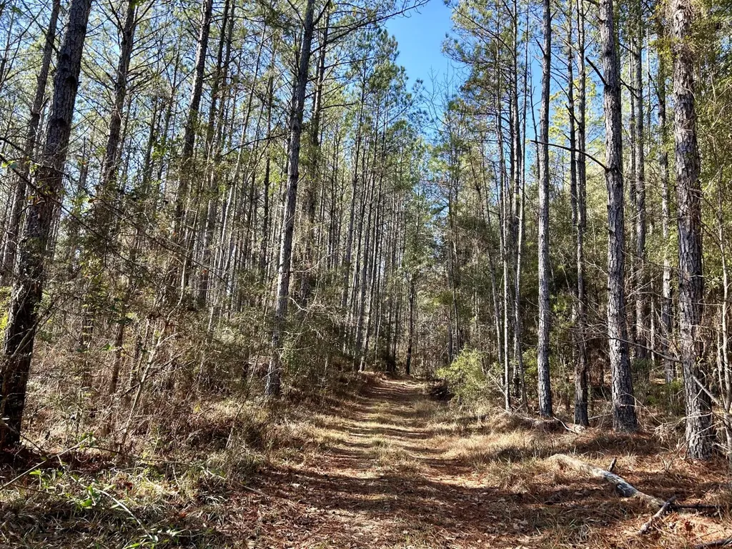 0 Ararat Road Tract B Toxey AL 36921