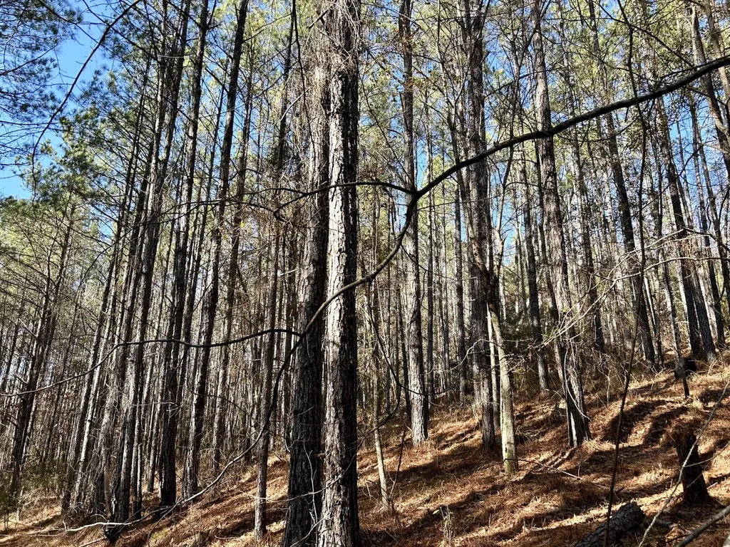 0 Ararat Road Tract B Toxey AL 36921