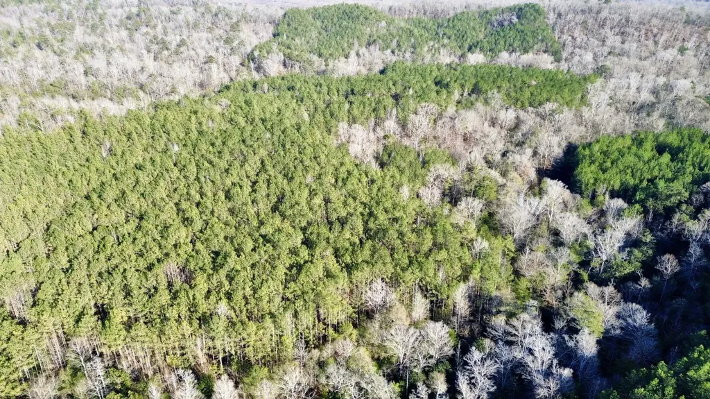 0 Ararat Road Tract B Toxey AL 36921