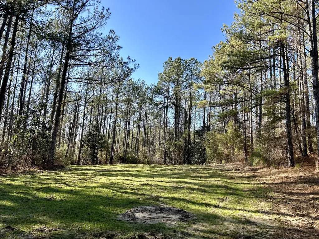 0 Ararat Road Tract B Toxey AL 36921