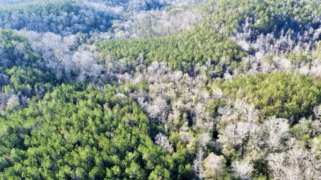 0 Ararat Road Tract B Toxey AL 36921