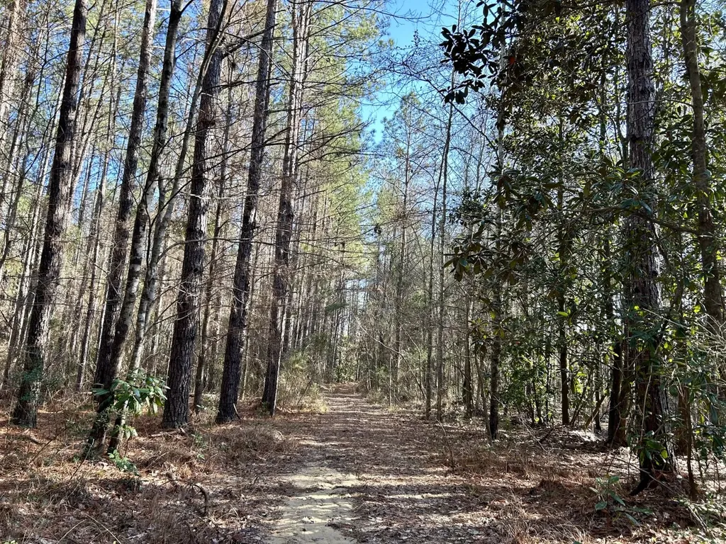 0 Ararat Road Tract B Toxey AL 36921