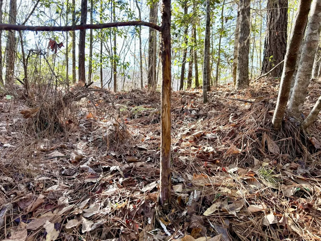 0 Ararat Road Tract B Toxey AL 36921