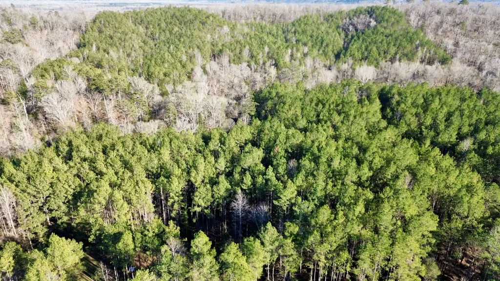 0 Ararat Road Tract B Toxey AL 36921