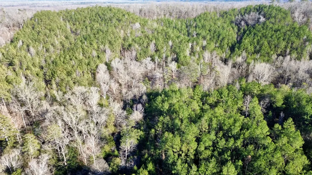 0 Ararat Road Tract B Toxey AL 36921