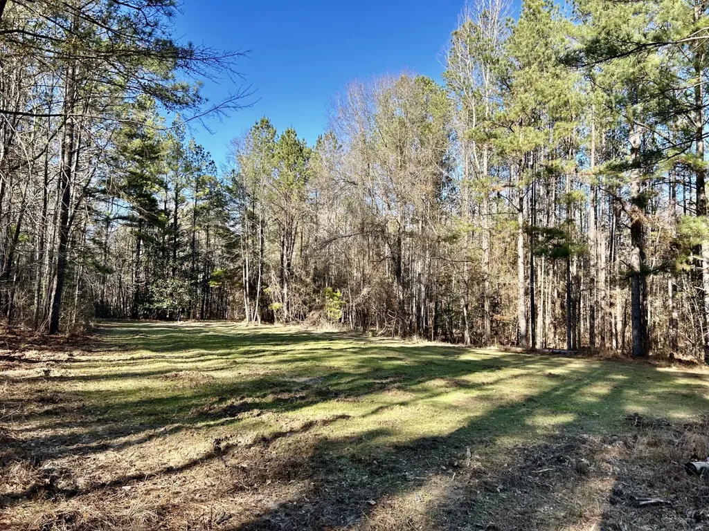 0 Ararat Road Tract B Toxey AL 36921