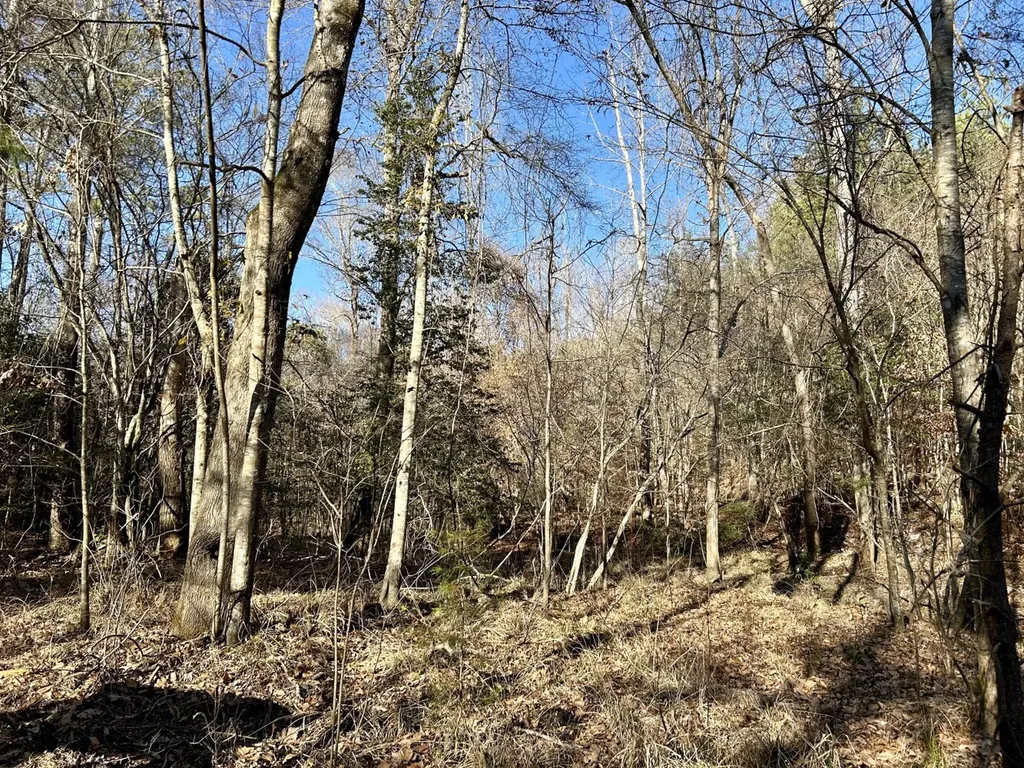 0 Ararat Road Tract B Toxey AL 36921