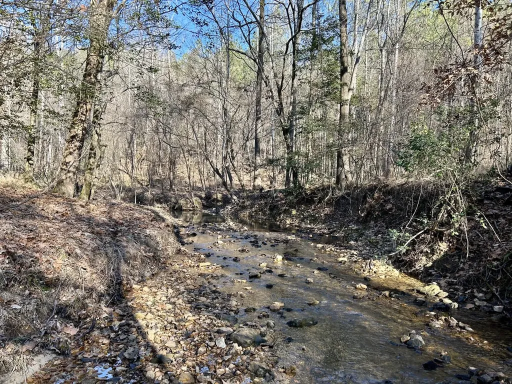 0 Ararat Road Tract B Toxey AL 36921