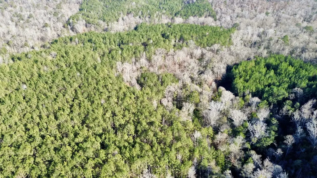 0 Ararat Road Tract B Toxey AL 36921