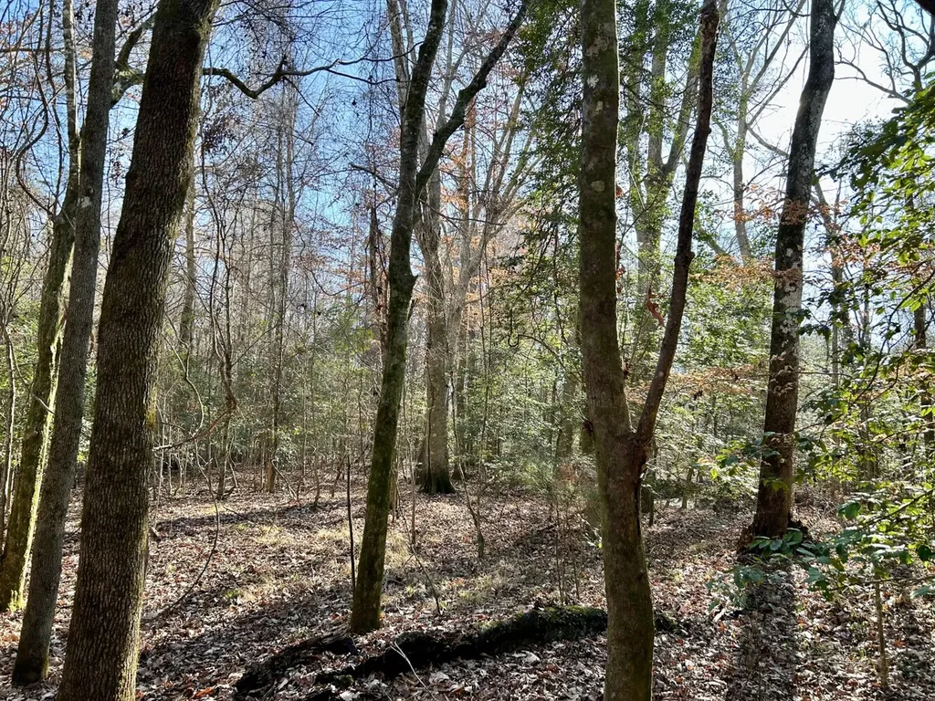 0 Ararat Road Tract B Toxey AL 36921