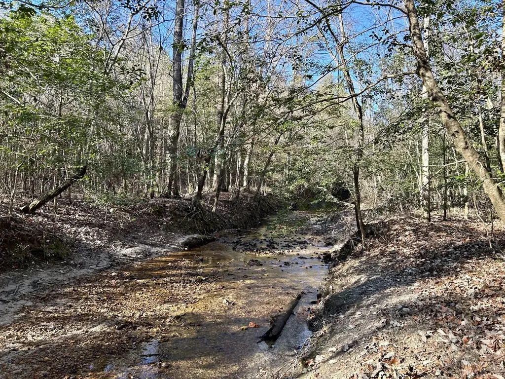 0 Ararat Road Tract B Toxey AL 36921