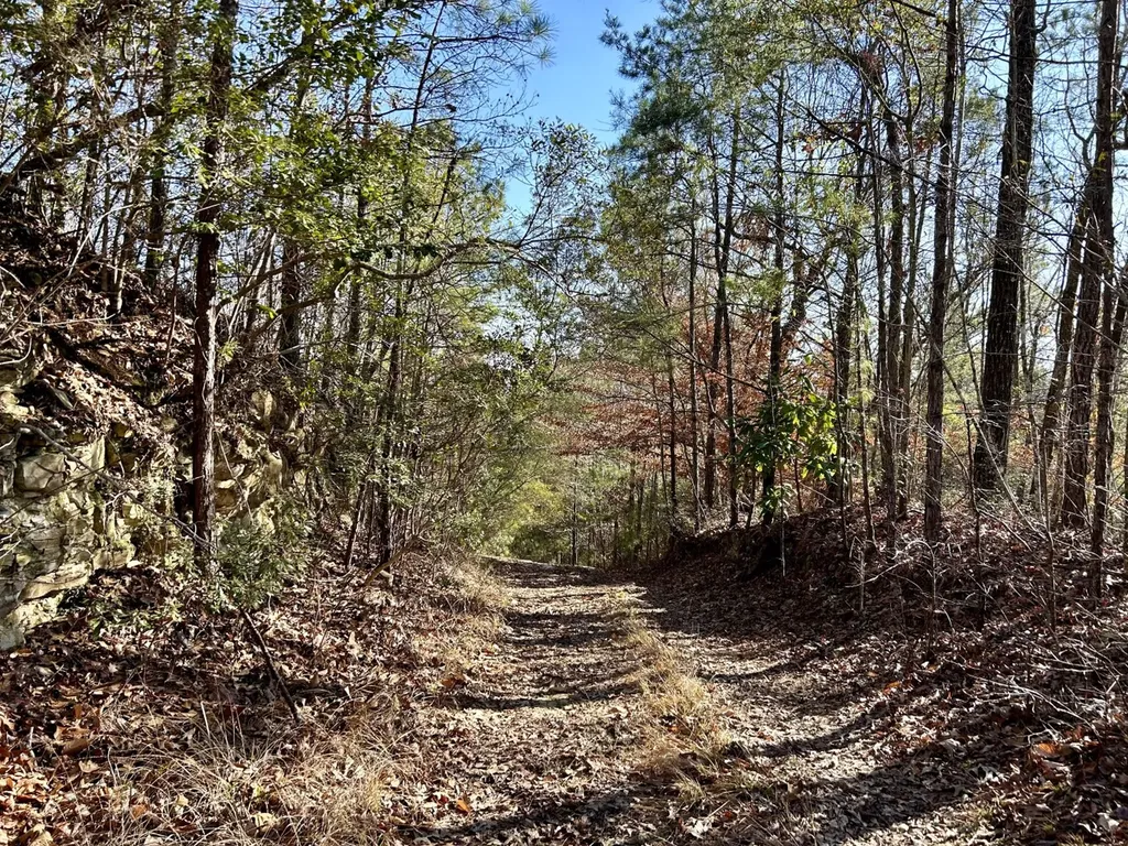 0 Ararat Road Tract B Toxey AL 36921