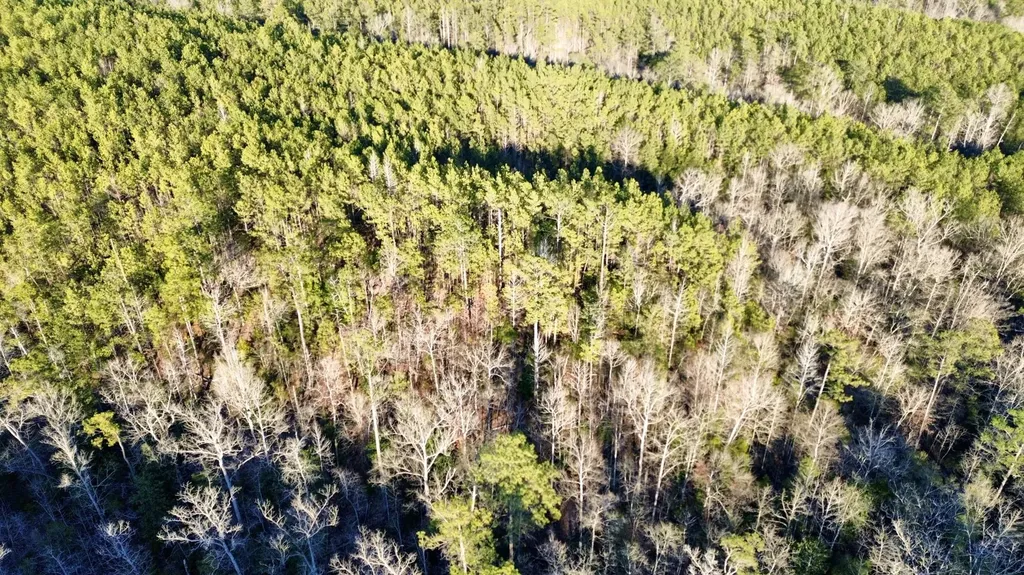 0 Ararat Road Tract B Toxey AL 36921