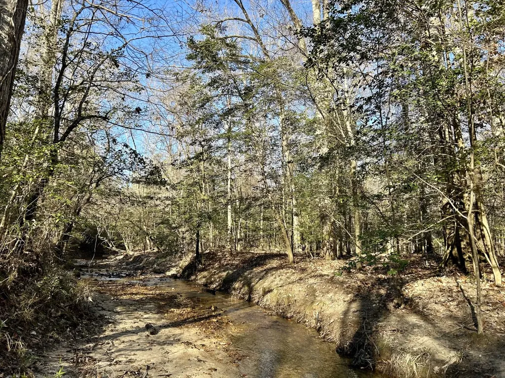 0 Ararat Road Tract B Toxey AL 36921