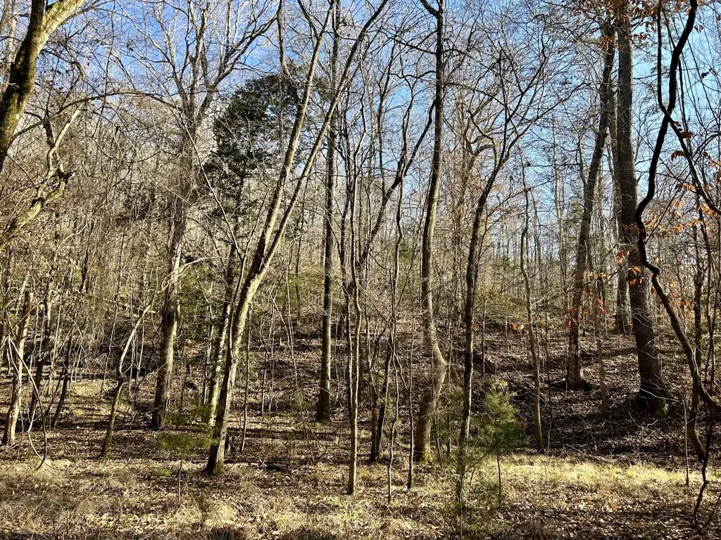 0 Ararat Road Tract B Toxey AL 36921