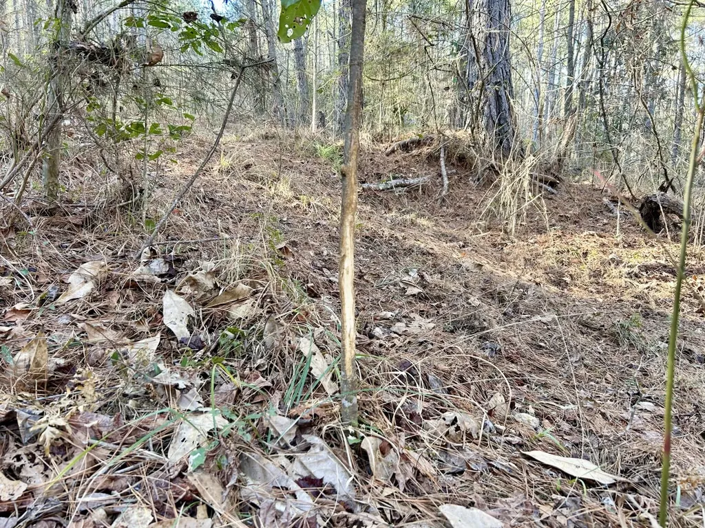 0 Ararat Road Tract B Toxey AL 36921