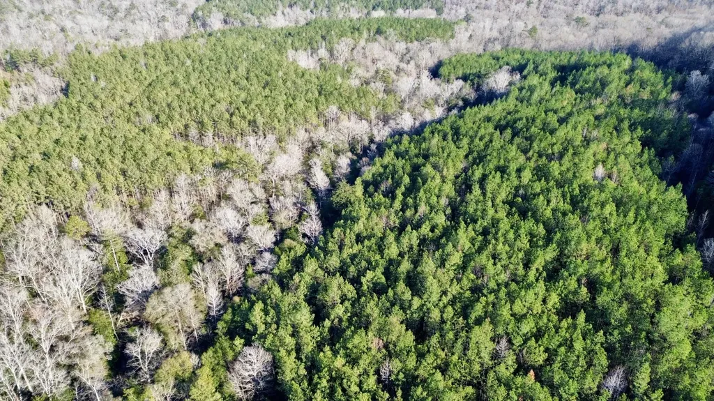 0 Ararat Road Tract B Toxey AL 36921