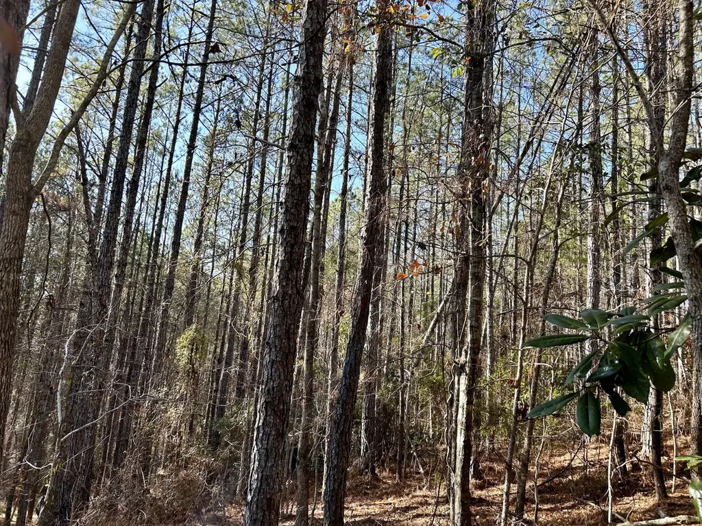 0 Ararat Road Tract B Toxey AL 36921