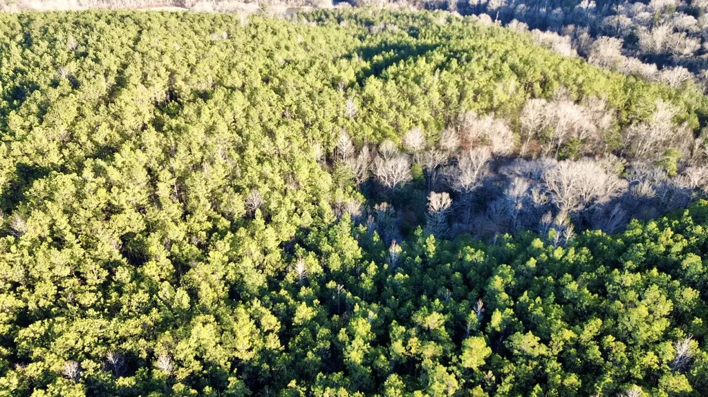 0 Ararat Road Tract B Toxey AL 36921